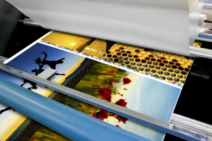 Are You Using The Best Digital Printing Option For Your Images?
